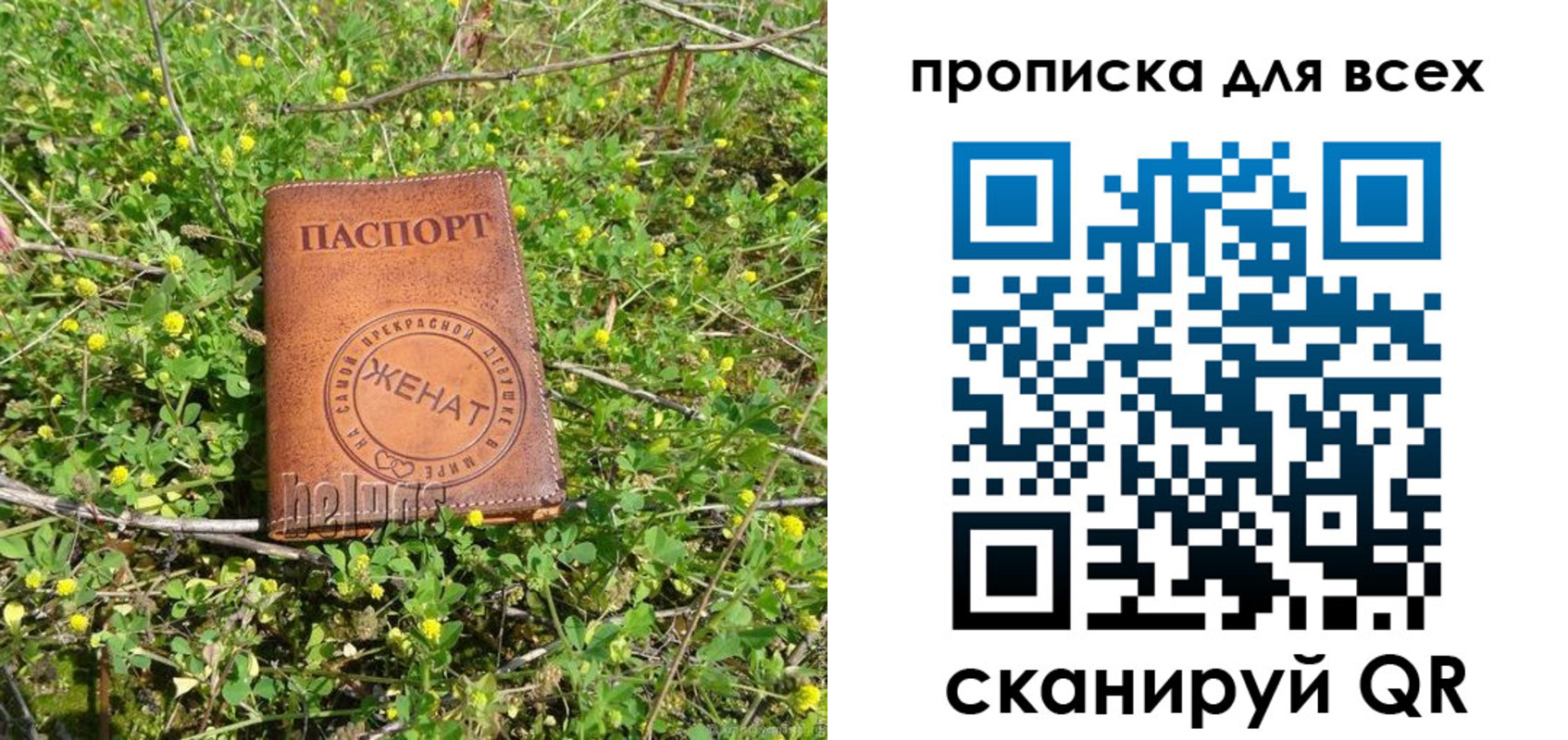 прописка поиск в Кирсе